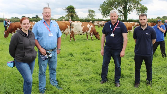 Ayrshire cattle breeding – the South African experience
