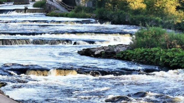 Investigation into death of 850 wild salmon in Sligo river