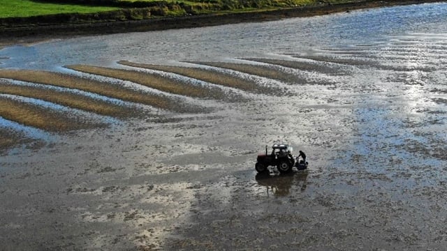 Mayo man convicted for setting illegal net on a beach using tractor