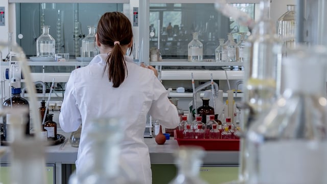 DAFM seeks tenders for BSE and scrapie testing equipment