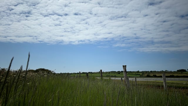Claims for €50/ha late meadow bonus can be made for ACRES applicants