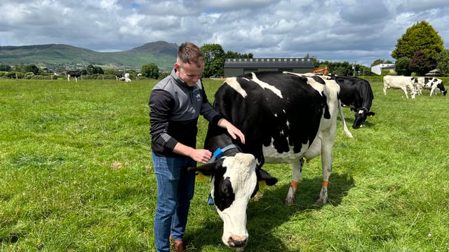 Watch: Young Louth farmer diversifies family dairy farm