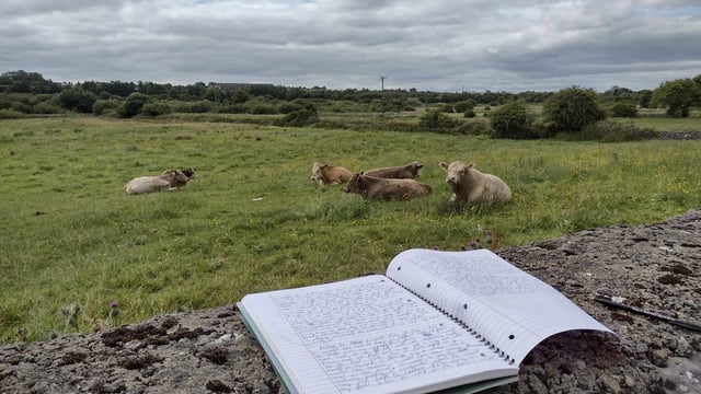 Best in Rural Writing contest 2024 opens for submissions