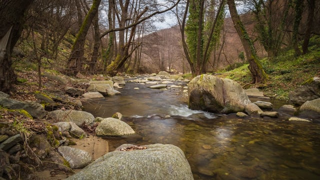Report: Local solutions, info and incentives crucial for water quality