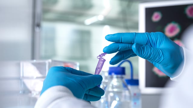 Forensic animal pathology service at Sligo RVL to be phased in
