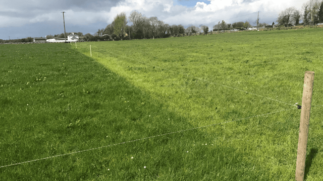 'One good grass growing year' in Ireland since 2018