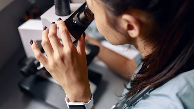 Closing dates extended for US-Ireland agri research partnership