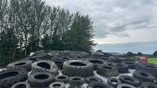 Dairy advice: Understanding silage test results