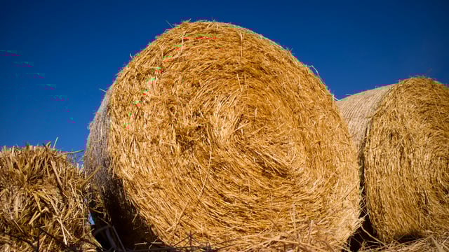 Over 14,800t of straw imported from UK to the end of July