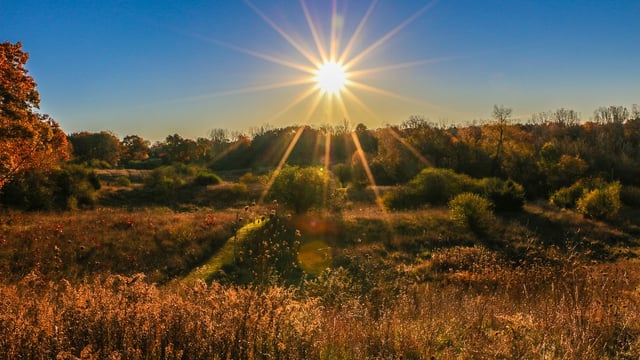 Record-breaking global temperatures for 13 consecutive months