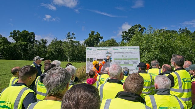 Almost 300 attend event highlighting supports for forestry