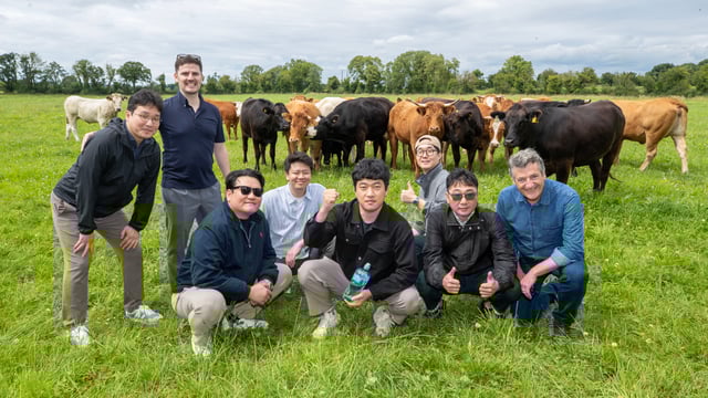 South Korean beef buyers visit Irish farms