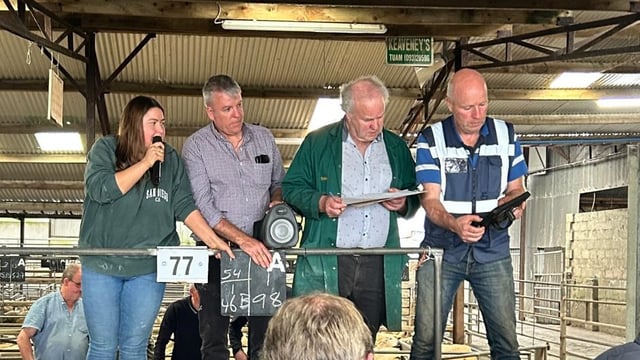 Stepping up to auctioneer at Tuam Mart at 23 years old