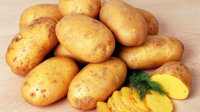 Teagasc celebrates International Potato Day at Bloom