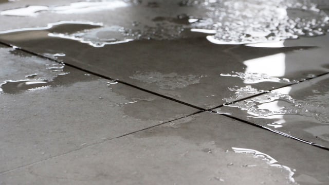 Burst water pipes cause 'significant' damage to DAFM offices
