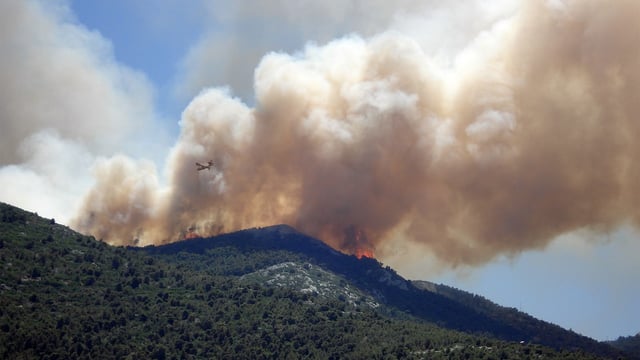 Muir urges landowners to refrain from any prescribed burning