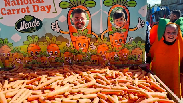 National carrot appreciation day launched