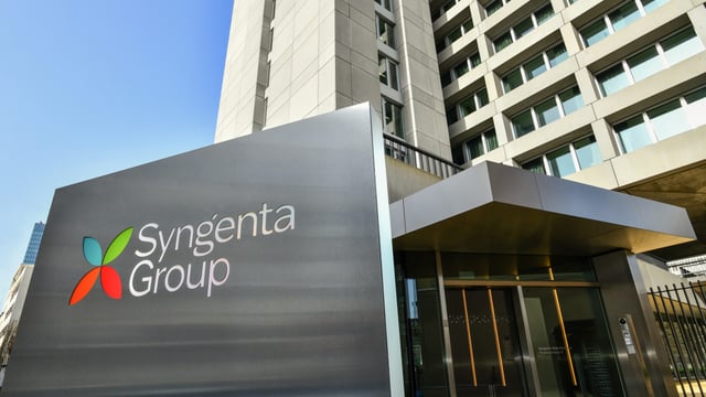 Syngenta reports 17% drop in sales in first half of 2024