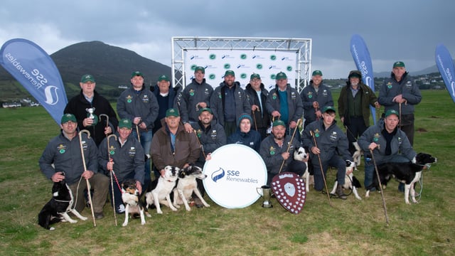 Down man claims singles title at Irish National Sheep Dog Trials