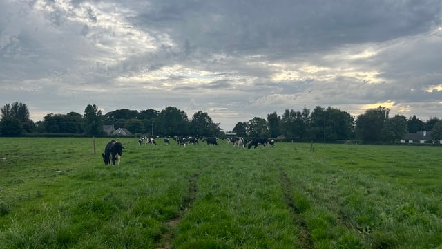 Autumn grazing: Building covers to achieve extra days at grass
