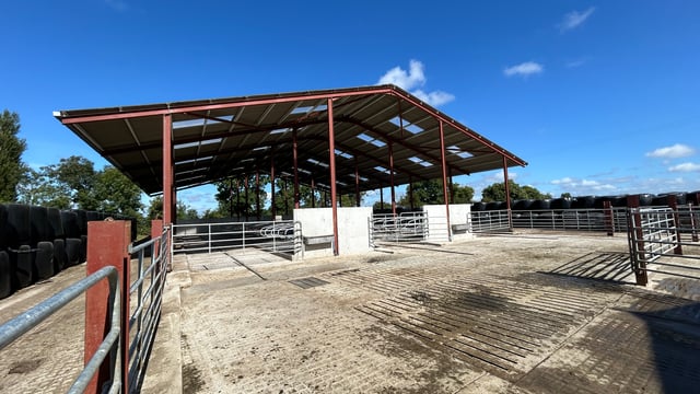 Buildings focus: Upgrading parlour and cubicles to farm seriously