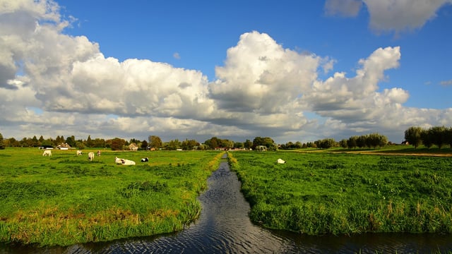 Report: Global ag and fish production to grow 14% by 2034