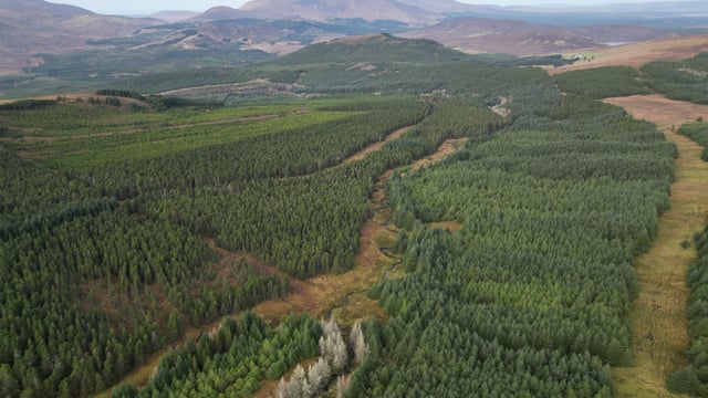 Varied restoring approach needed in Nephin Forest - study