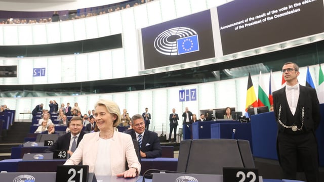 Thomas Duffy: What will the next EU Parliament mean for farmers?