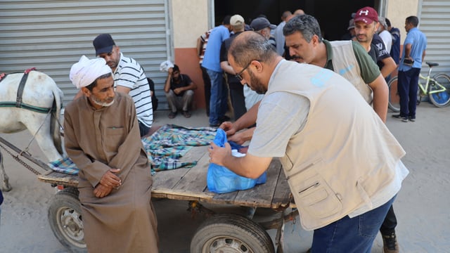 Vet kits and fodder sent to Gaza to help improve livestock health