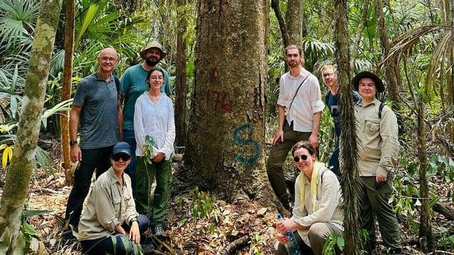 Galway joins global timber conservation programme
