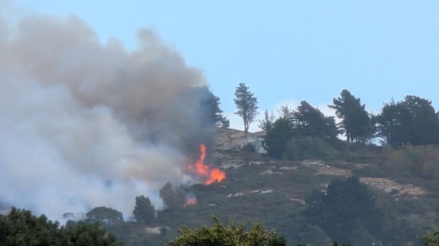 Timber growers call on landowners and public to report all fires