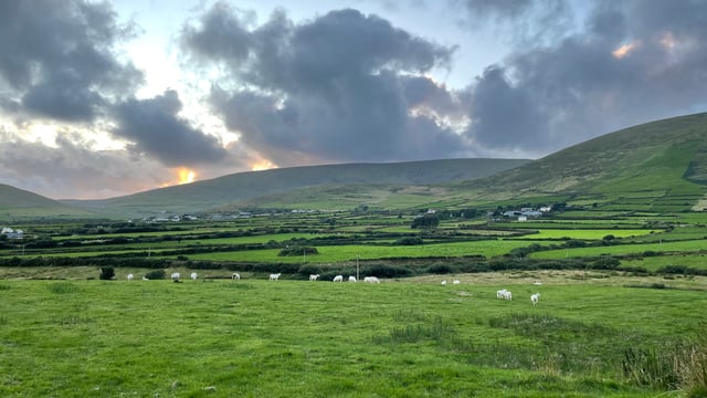'Government has turned its back on rural Ireland' - TD