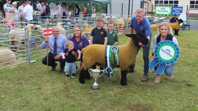 Young Simmental bull carries the day at Clogher Valley Show 2024