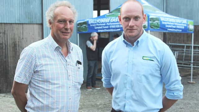 Sheep research profiled at EasyCare sheep open evening