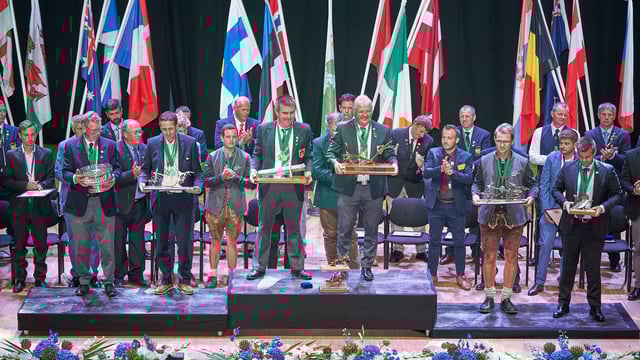 Ireland’s global reputation as 'true ploughing masters'