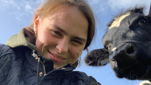 Irish students studying veterinary abroad 'need a link back home'