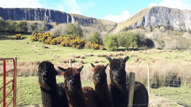 Leitrim to host first national trail conference