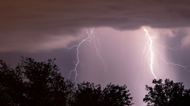 Cattle, sheep and horses killed after lightning strikes in Galway