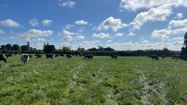 Kerry Co-op announces nominee directors for Kerry Dairy Ireland