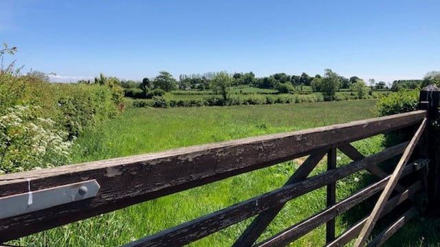 Cost of farm land expected to rise by 6% this year - SCSI