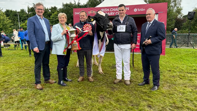 Who won the 2024 Baileys Irish champion dairy cow competition?