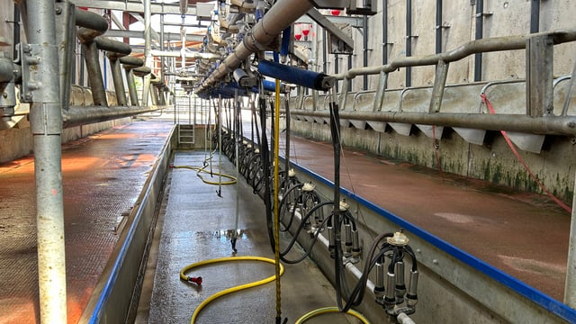 Milk processors called on to hold current prices