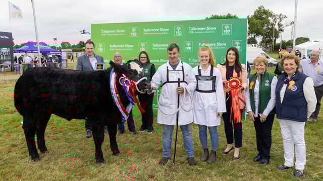Gallery: Parade of Champions at Tullamore Show 2024