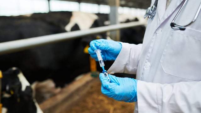 Ensuring vaccine availability 'vital' as demand 'highly likely' to rise in coming months