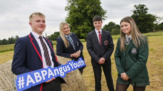 NI teenagers invited to enter ABP’s 'Angus Youth Challenge'