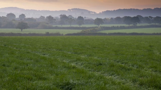 New Germinal varieties on England and Wales recommended list