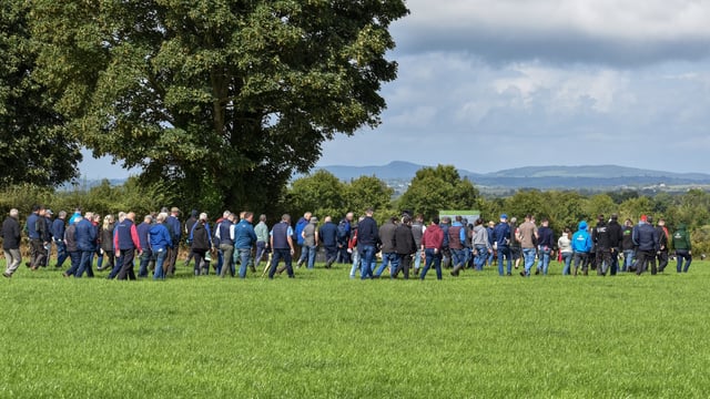 Toberfort Herd impresses at IHFA Focus Farm event
