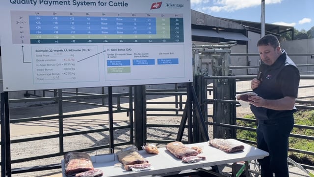 Video: Comparing steaks from in-spec and out-of-spec cattle