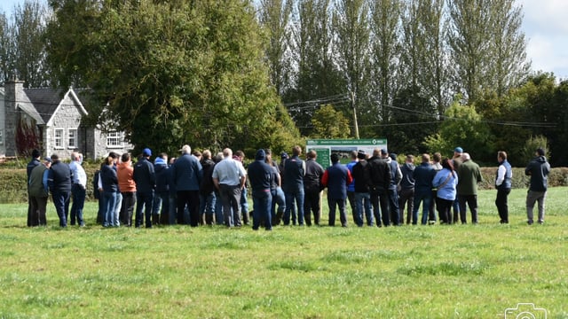 Watch: Copperbeech Herd draws crowds for IHFA Focus Farm event
