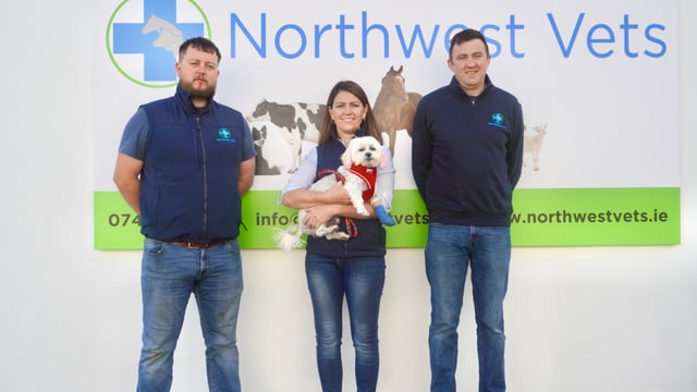 New Donegal vet practice aims to help with out-of-hours cover
